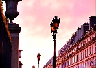 Tuileries 1496 WEB